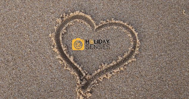 Find out more about Holiday Senses 👈