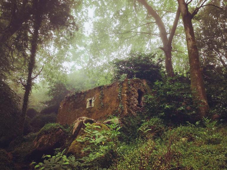 Guided Visit - Life and Death at the Capuchos Convent in Sintra Mountains