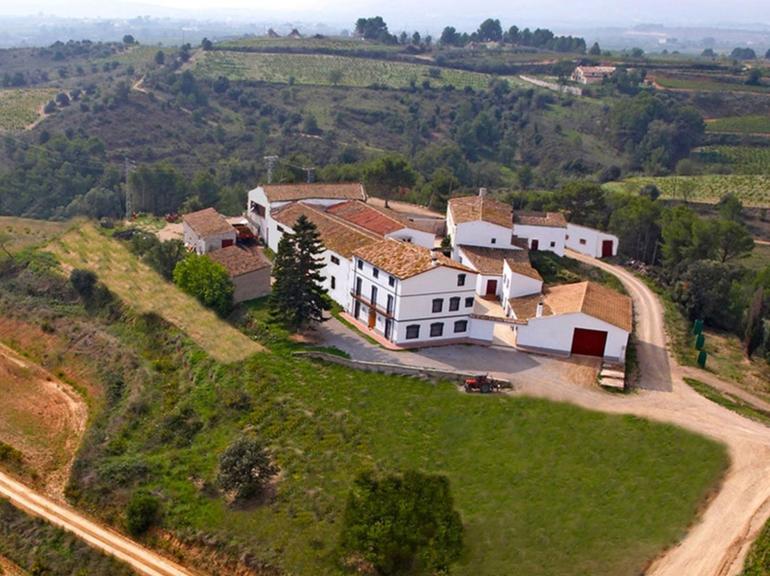 Viticulture and Wine-Tasting in the Penedés