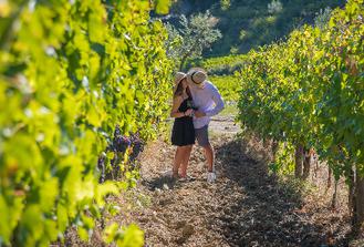 Engagement Wine tasting Tour in Chianti (Tuscany) - Ultimate Engagement Tour in Tuscany