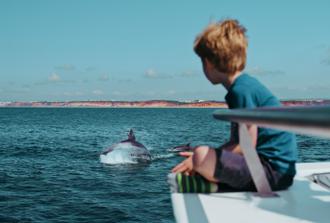 Catamaran Tour - Dolphins