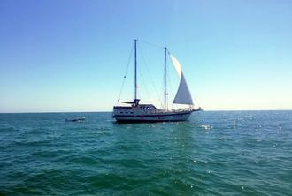 Black Sea Yacht Picnic - Full Day