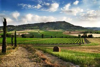 Private Tour - A Day in the Enchanting Val D'Orcia with Wine Tasting