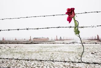 Auschwitz-Birkenau Memorial and Museum- RUSSIAN Guided Tour