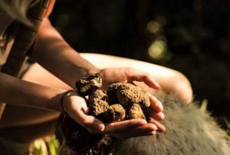 Cretan Truffle Hunting & Authentic Culinary with Cave of Zeus - Minibus 9-seats VIP Class