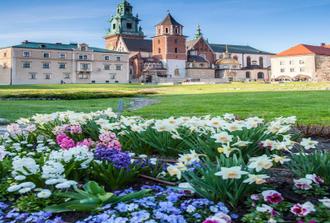 Wawel Castle, Cathedral and Wieliczka Salt Mine Guided Tour with Lunch