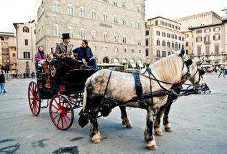 Horse-Drawn Carriage Ride in Florence - Exclusive Private Experience