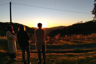 Private Tour- Chianti By Minivan At Sunset