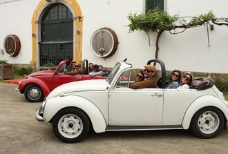 Beetle Private tour around the best Wine (7h) - 7 to 9 pax