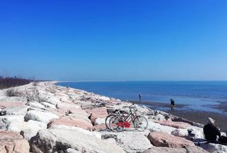 Discovery Tour By Bike On Lido Island, The Beach Of Venice