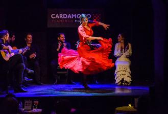 Madrid Tapas Walking Tour & Flamenco Show