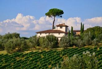 PRIVATE TOUR Full-Day: "Francigena Way" in Chianti with Lunch and 2 Wineries - 10 h