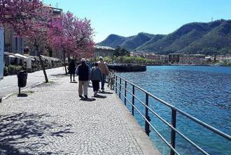 Lake Como and Brunate full day tour from Milan