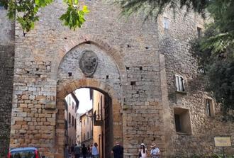 San Gimignano and Volterra with Wine Tasting Full day private tour without local tourist guide