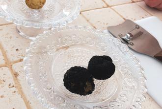 Truffle Hunting with Lunch and San Miniato Guided Tour