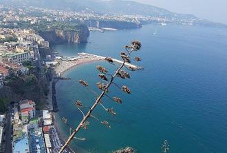 Tour on the Amalfi Coast: Sorrento and Positano, a day from Rome