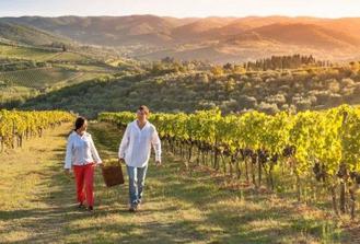 Wine Making Private Experience In Tuscany