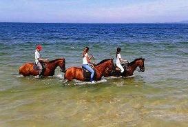 Horse Riding Tour on the Beach on the white sands of Comporta