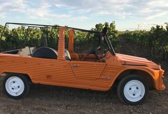 4x4 tour of the Penedès region, including visit to winery and wine tasting